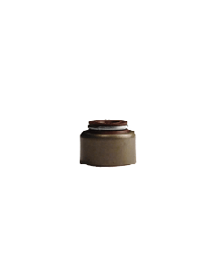 VSG24P